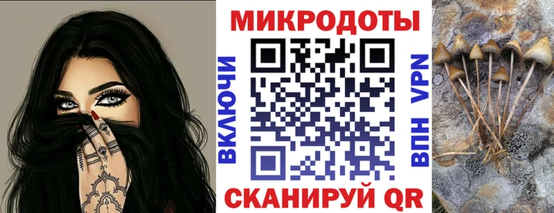Купить где  Ахтырский  Галлюциногенные грибы ЛСД 